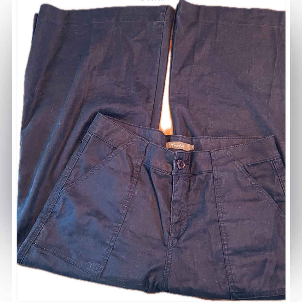Anthropologie Level 99 Dark Blue Chinos